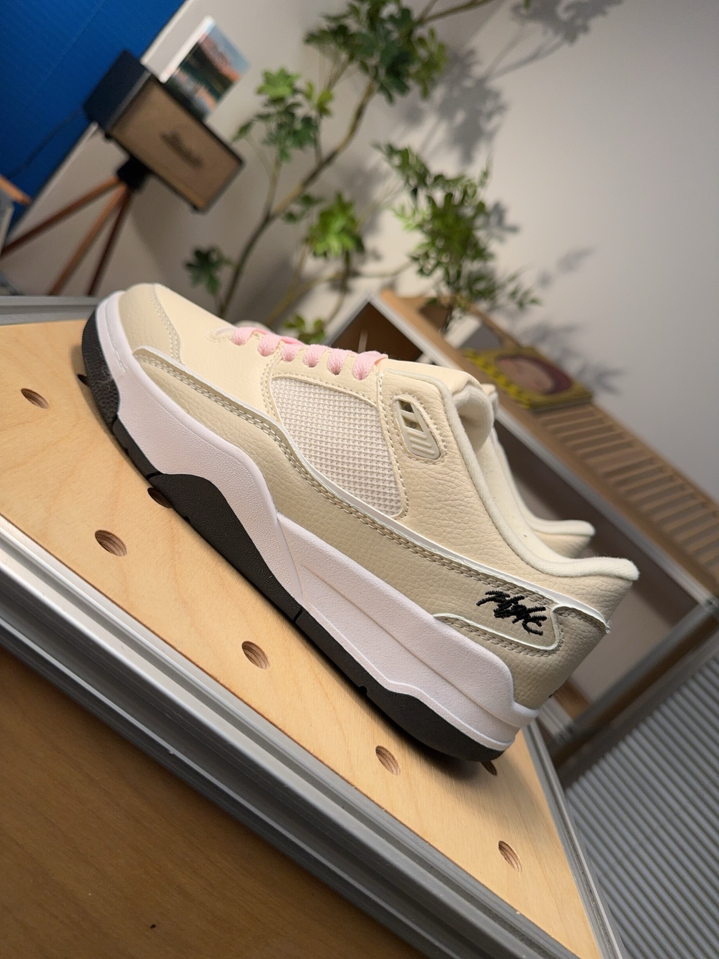Nike Jordan